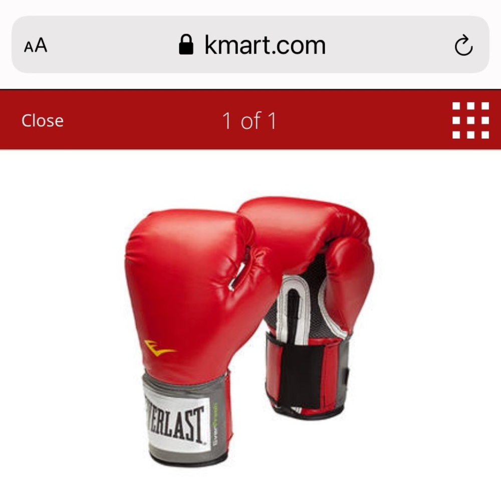 Pro Style Training Gloves